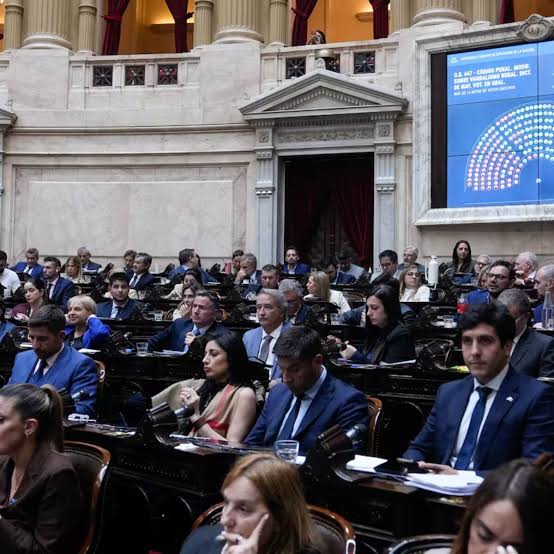 Discapacidad: diputados le dio media sanción a la ley oficialista